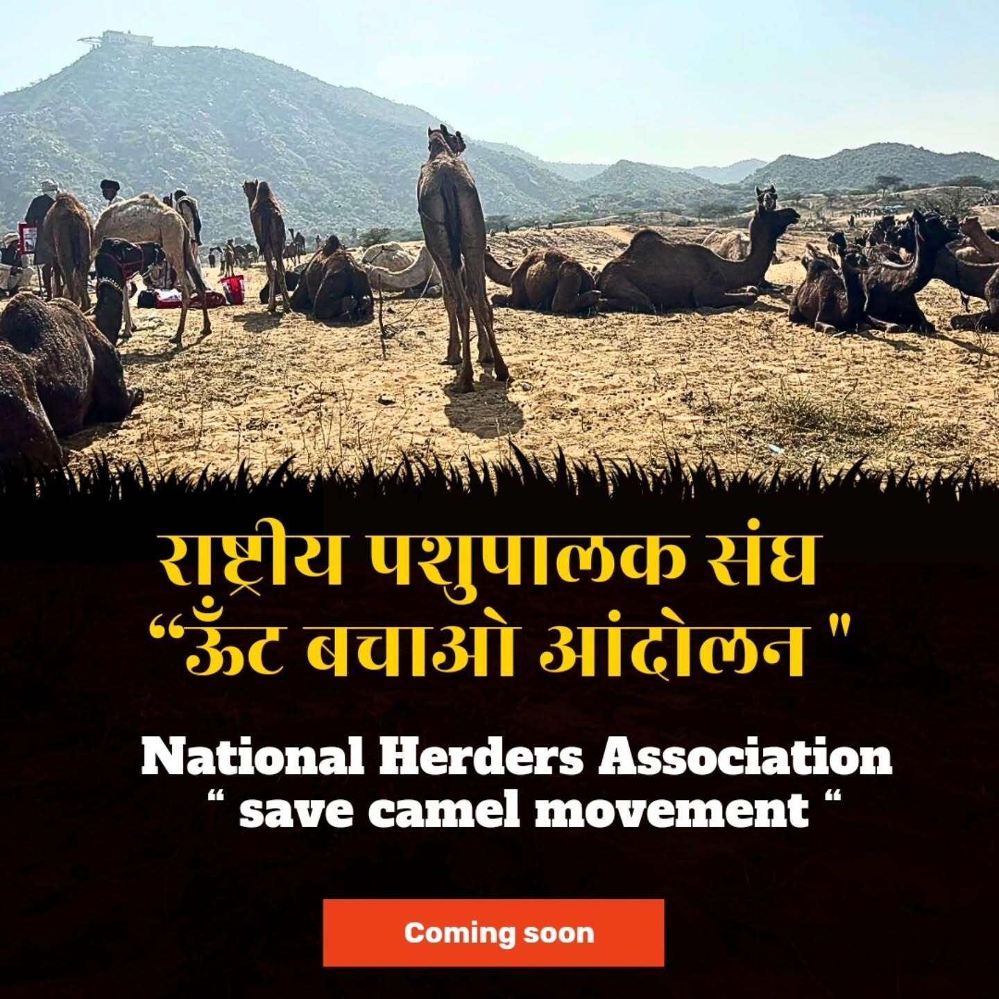 राष्ट्रीय पशुपालक संघ : जल्दी होगा “ ऊँट बचाओ आंदोलन “